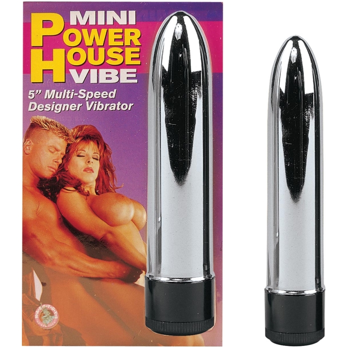 MINI POWERHOUSE VIBE-SILVER MINI POWERHOUSE VIBE-SILVER