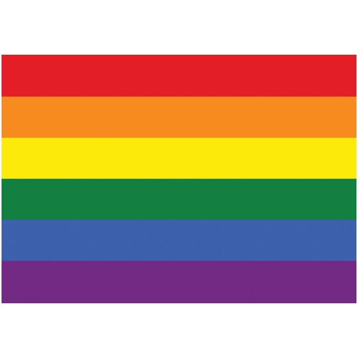 PRIDE FLAG W/STICK (12 IN x 18 IN) - SML