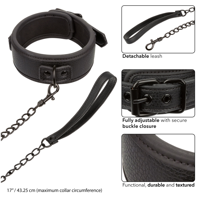 NOCTURNAL COLLECTION COLLAR & LEASH