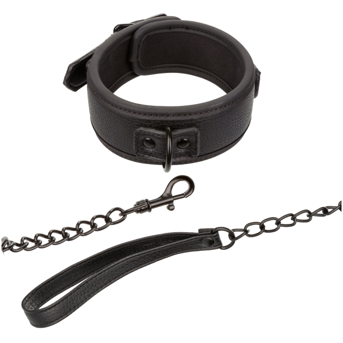 NOCTURNAL COLLECTION COLLAR & LEASH