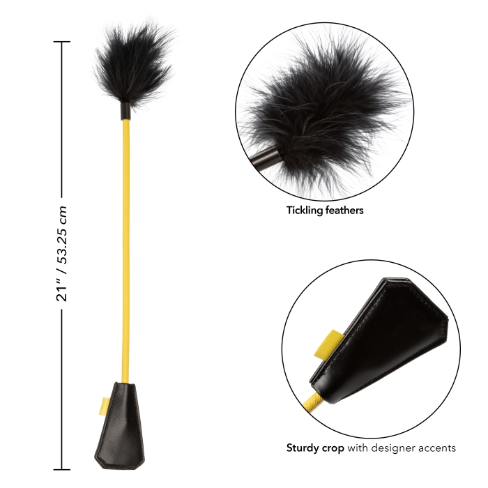 BOUNDLESS FEATHER CROP