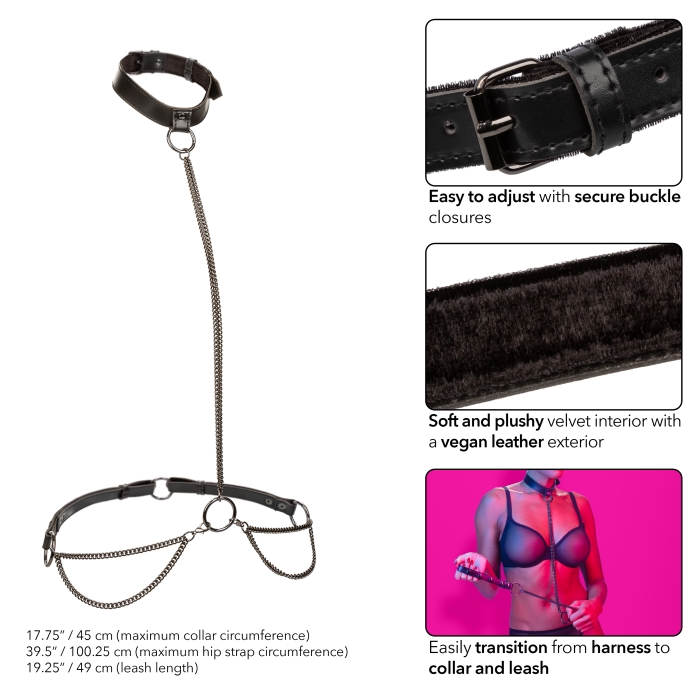 CHAIN HALTER/COLLAR & LEASH BLACK EUPHORIA COLLECTION