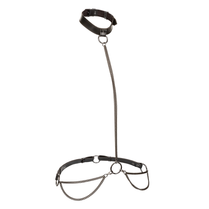 CHAIN HALTER/COLLAR & LEASH BLACK EUPHORIA COLLECTION