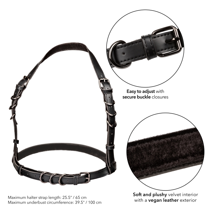 HARNESS BLACK EUPHORIA COLLECTION HALTER BUCKLE
