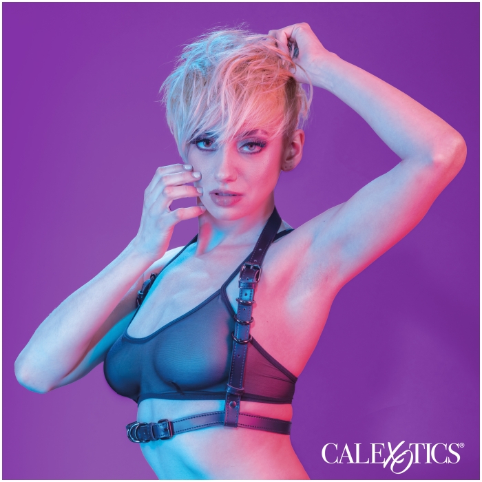 HARNESS BLACK EUPHORIA COLLECTION HALTER BUCKLE