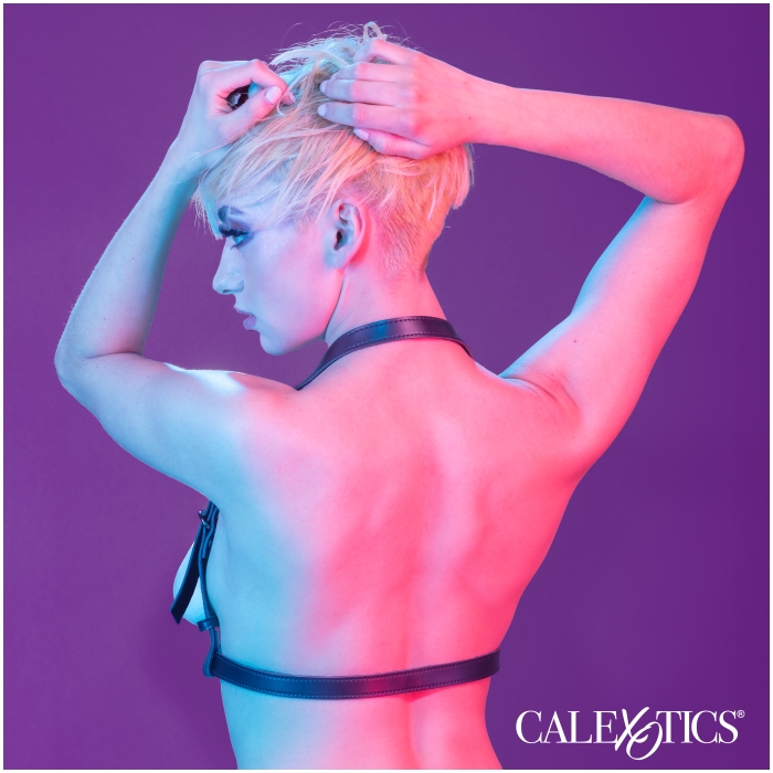 HARNESS BLACK EUPHORIA COLLECTION HALTER BUCKLE