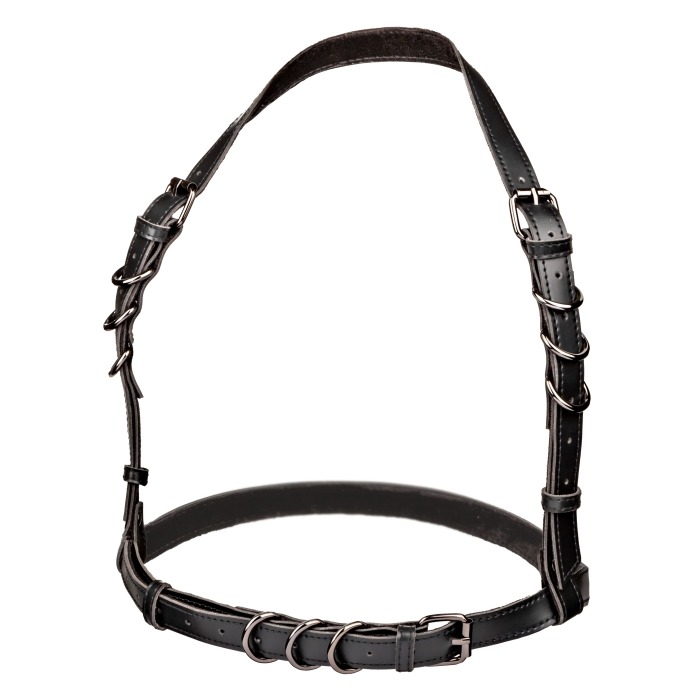 HARNESS BLACK EUPHORIA COLLECTION HALTER BUCKLE