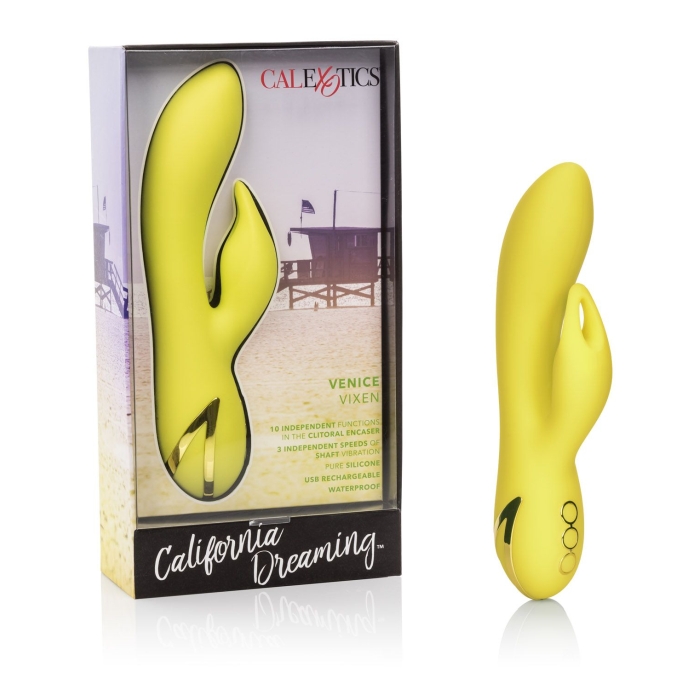 CALIFORNIA DREAMING VENICE VIXEN CALIFORNIA DREAMING VENICE VIXEN