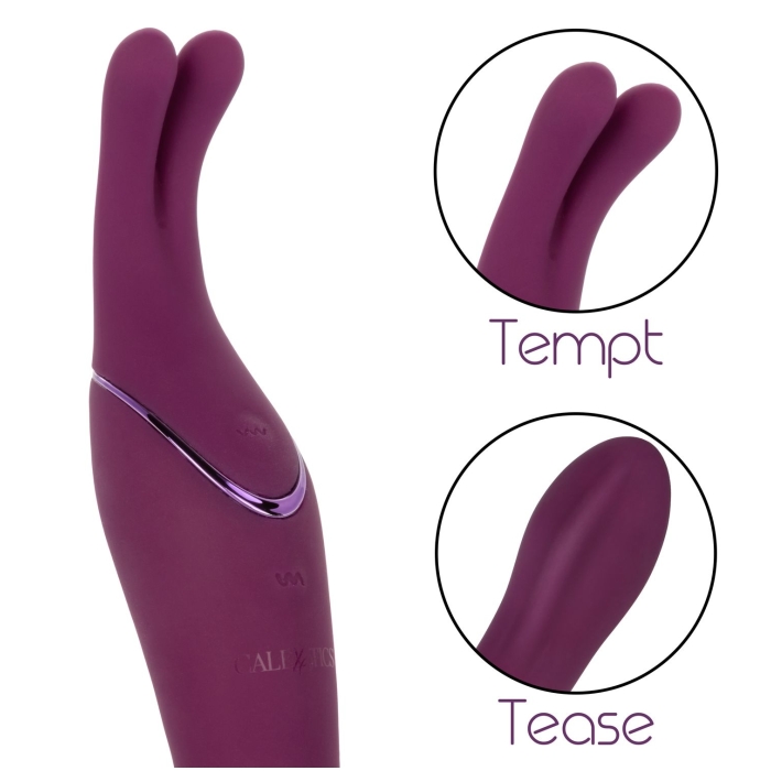 TEMPT & TEASE SASS - PUPLE