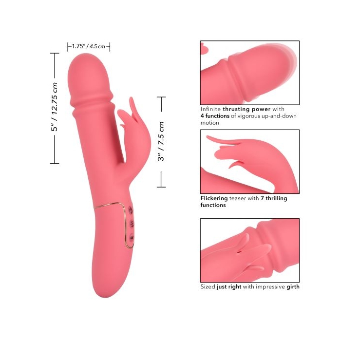 SHAMELESS TEASE - PINK