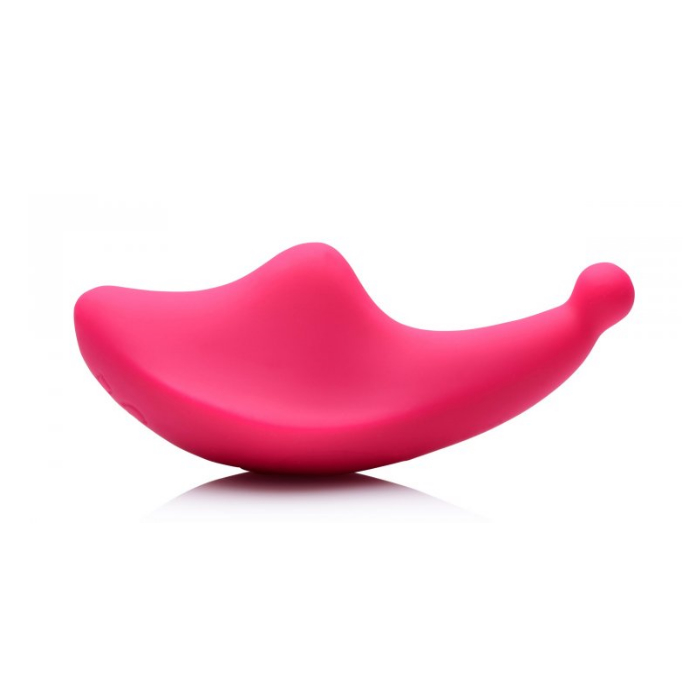 WH VOICE ACTIVATED 10X PANTY VIBE W/REMOTE CONTROL